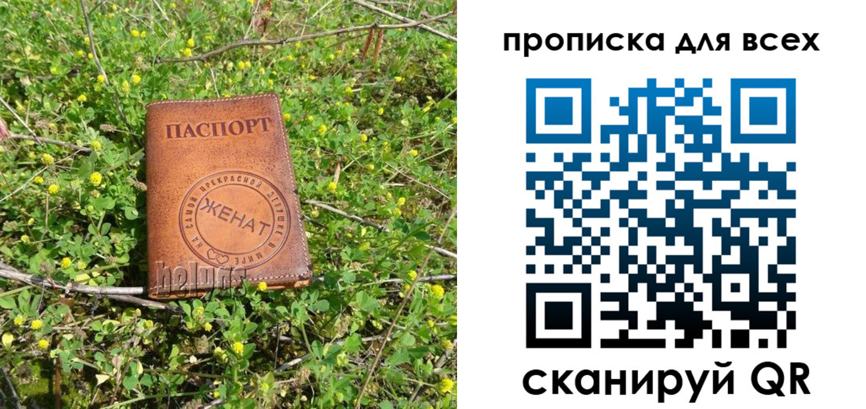 прописка поиск в Инзе